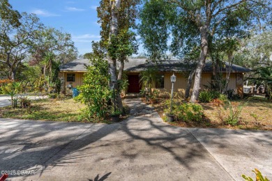 Beach Home For Sale in New Smyrna Beach, Florida