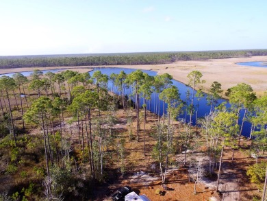 Beach Acreage Off Market in Carabelle, Florida