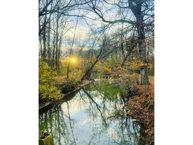 Beach Acreage For Sale in Three Oaks, Michigan