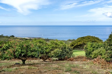 Beach Lot For Sale in Kealakekua, Hawaii