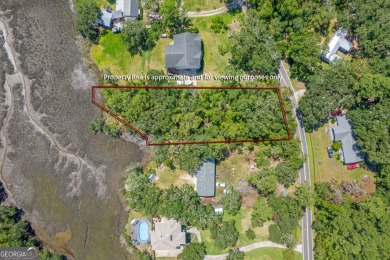Beach Lot For Sale in Woodbine, Georgia