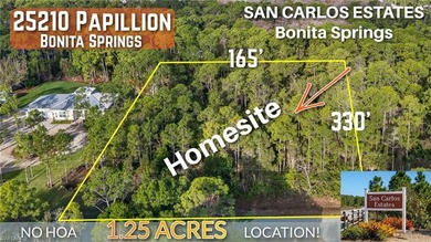 Beach Lot For Sale in Bonita Springs, Florida