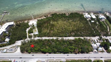 Beach Lot For Sale in Upper Matecumbe Key, Florida