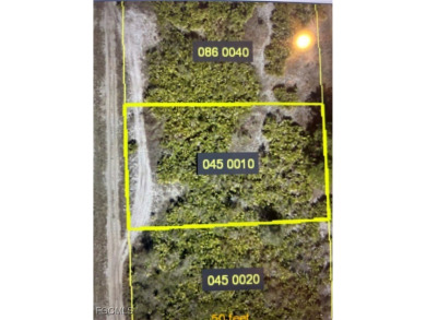 Beach Lot For Sale in Lehigh Acres, Florida
