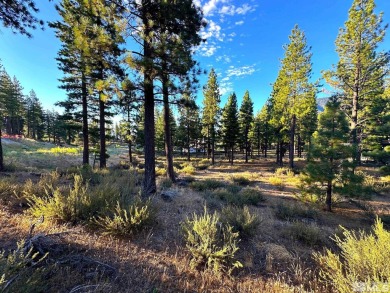 Beach Lot For Sale in Carson City, Nevada