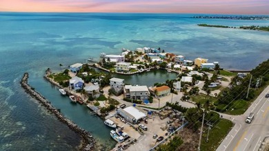 Beach Home For Sale in Conch Key, Florida