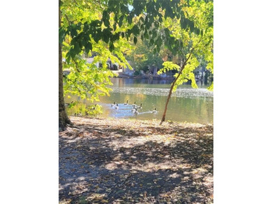 Beach Home For Sale in Suffolk, Virginia