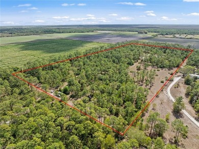 Beach Acreage For Sale in Estero, Florida