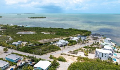 Beach Lot For Sale in Cudjoe Key, Florida