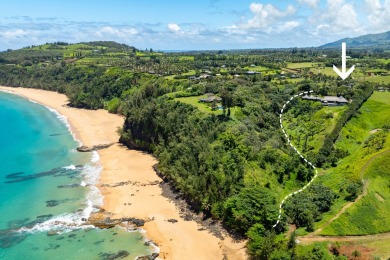 Beach Home For Sale in Kilauea, Hawaii