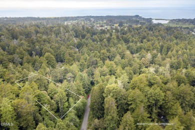 Beach Lot For Sale in Fort Bragg, California