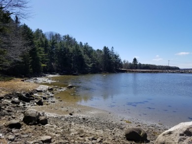 Beach Acreage For Sale in Brooklin, Maine