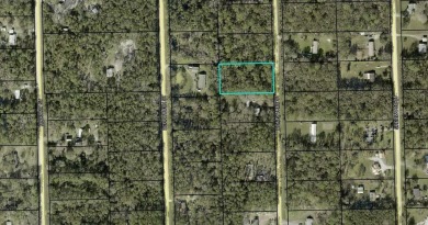Beach Lot For Sale in Bunnell, Florida