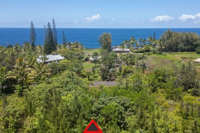 Beach Lot For Sale in Keaau, Hawaii