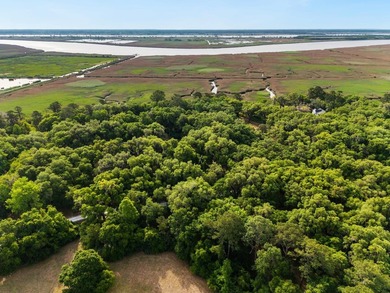Beach Lot Sale Pending in Georgetown, South Carolina