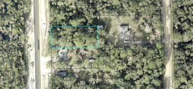 Beach Lot For Sale in Bunnell, Florida