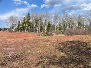 Beach Acreage For Sale in Mcmillan, Michigan