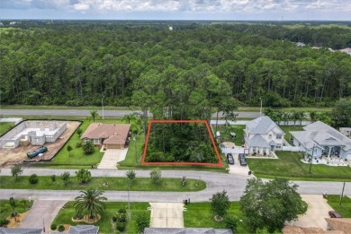 Beach Lot For Sale in Palm Coast, Florida