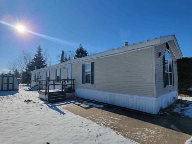 Beach Home For Sale in Alanson, Michigan