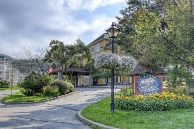 Beach Condo For Sale in Mont-Tremblant, 