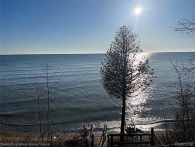Beach Lot For Sale in Applegate, Michigan