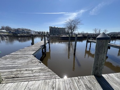 Beach Lot For Sale in South Haven, Michigan