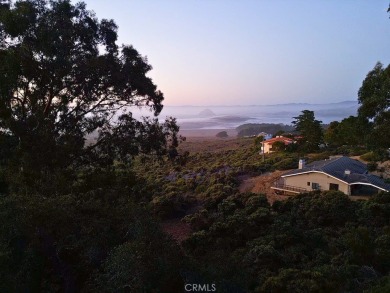 Beach Lot Sale Pending in Los Osos, California