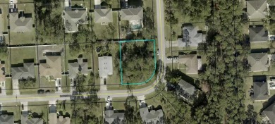 Beach Lot For Sale in Palm Coast, Florida