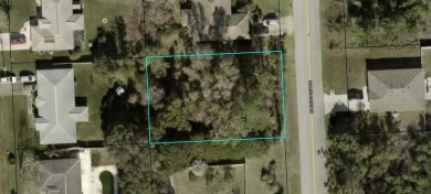 Beach Lot Sale Pending in Palm Coast, Florida