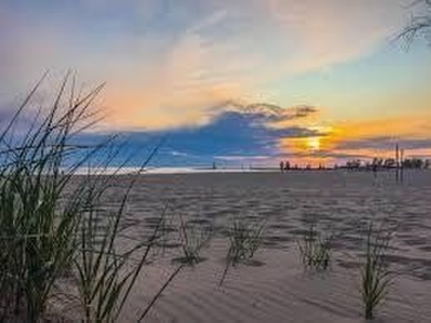 Beach Lot For Sale in Gary, Indiana