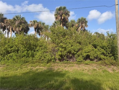 Beach Lot For Sale in Rotonda West, Florida