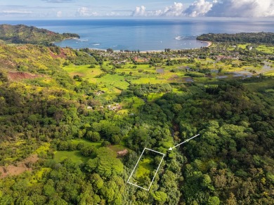 Beach Lot For Sale in Hanalei, Hawaii