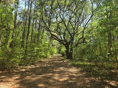 Beach Acreage For Sale in Wadmalaw Island, South Carolina