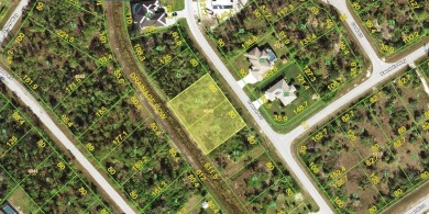 Beach Lot For Sale in Port Charlotte, Florida