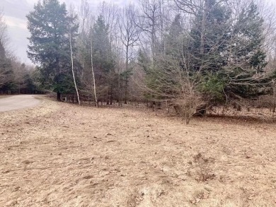Beach Lot For Sale in Onekama, Michigan