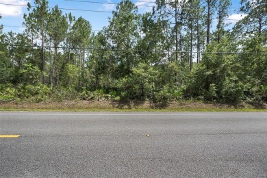 Beach Lot For Sale in Bunnell, Florida