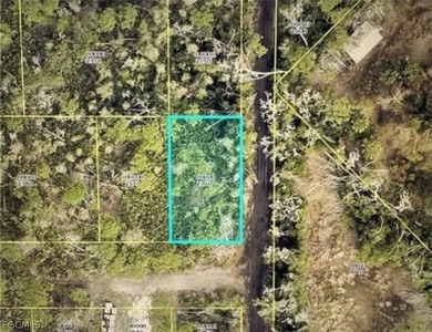 Beach Lot For Sale in Bokeelia, Florida