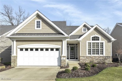 Beach Condo For Sale in Avon Lake, Ohio
