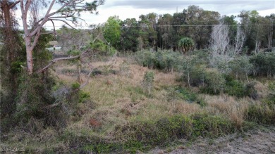 Beach Lot For Sale in Lehigh Acres, Florida