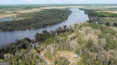 Beach Lot For Sale in Woodbine, Georgia