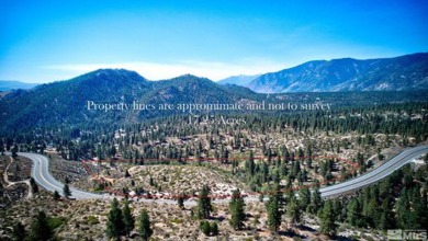 Beach Acreage For Sale in Carson City, Nevada