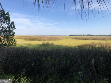 Beach Acreage For Sale in Waverly, Georgia