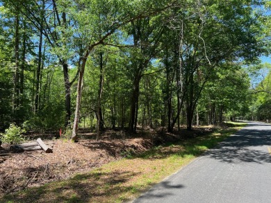 Beach Acreage For Sale in Edisto Island, South Carolina