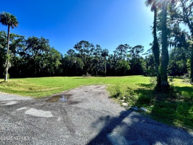 Beach Lot For Sale in Ponte Vedra Beach, Florida