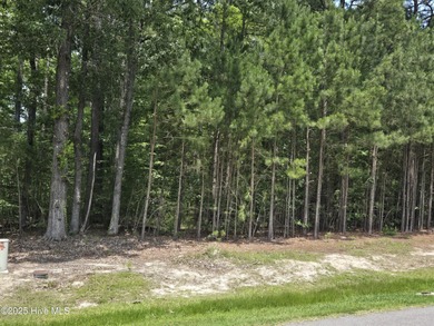 Beach Lot For Sale in Hertford, North Carolina
