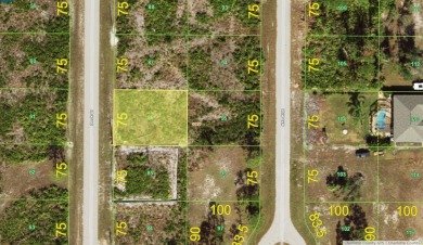 Beach Lot For Sale in Placida, Florida