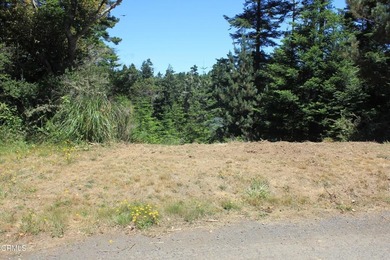 Beach Lot For Sale in Mendocino, California