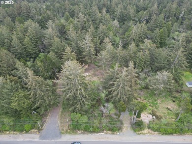 Beach Lot For Sale in Langlois, Oregon