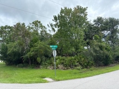 Beach Lot Sale Pending in Palm Coast, Florida