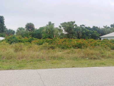 Beach Lot For Sale in Indialantic, Florida